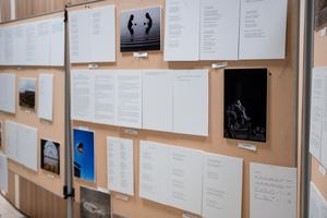 10_vers_novella_foto_palyazat_eredmenyhirdetes_2025-2