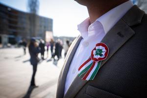 11_huszarfelvonulas_es_csaladi_nap_2026-2