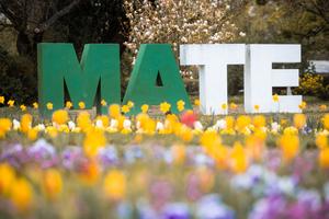 11_mate_nke_egyuttmukodes_2026-2