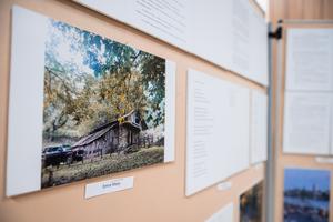 11_vers_novella_foto_palyazat_eredmenyhirdetes_2025-2