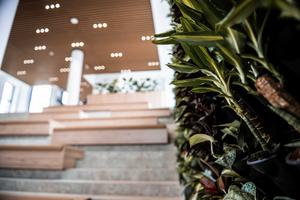 16_ludovika_15_az_egyetem_napja_unnepelyes_bejaras_es_szoboravatas_2026-2