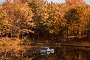 1_foldon_vizen_levegoben_az_algaviragzas_nyomaban