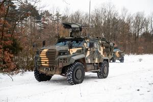 26_frozen_stars_2026-2