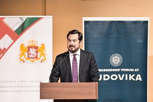 2_nagykoveti_forum_georgia_2025-2