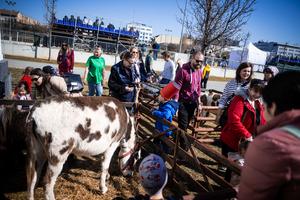 36_huszarfelvonulas_es_csaladi_nap_2026-2