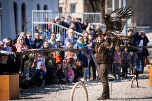 37_huszarfelvonulas_es_csaladi_nap_2026-2