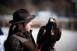 38_huszarfelvonulas_es_csaladi_nap_2026-2