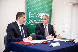 3_mate_nke_egyuttmukodes_2026-2