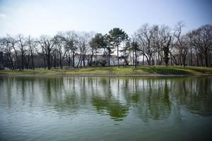 5_orczy_park-2