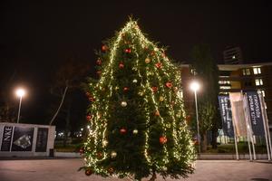 6_advent_a_campuson_1-2