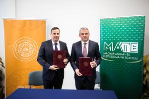 6_mate_nke_egyuttmukodes_2026-2