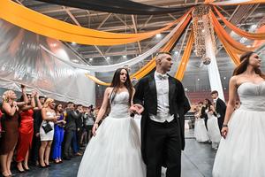 8_ehok_golyabal_2022-2