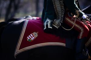 8_huszarfelvonulas_es_csaladi_nap_2026-2